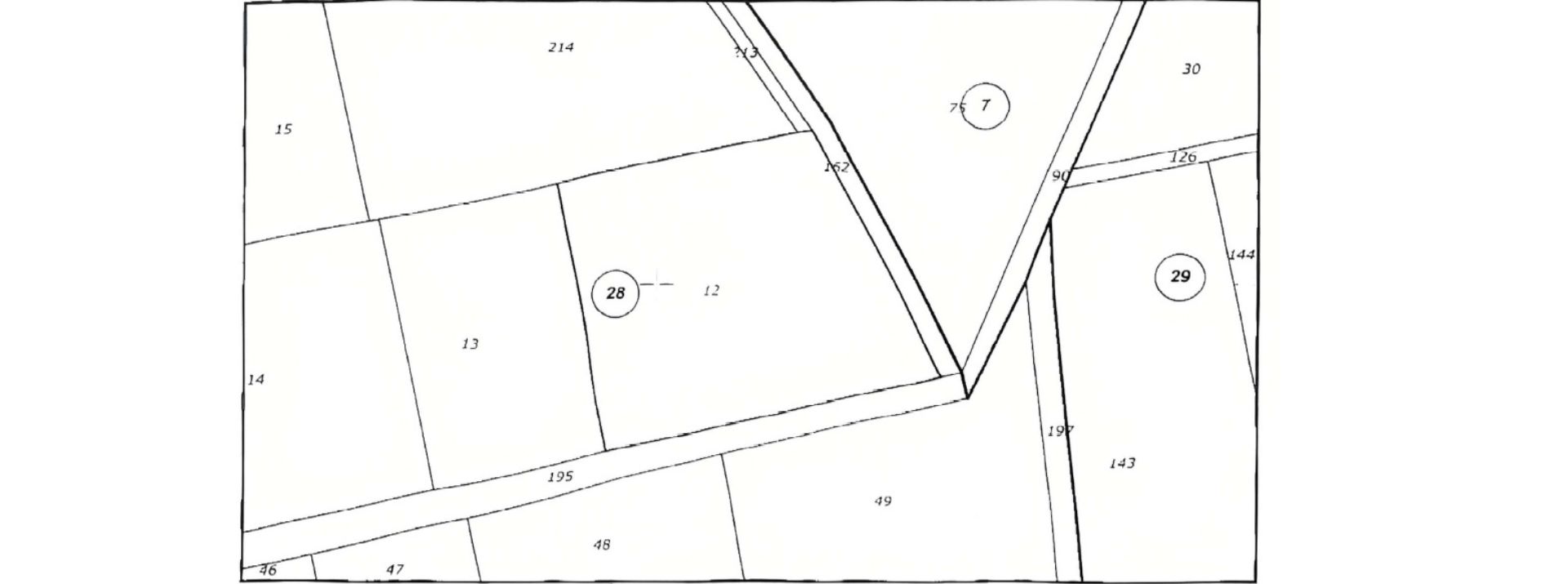 113.jpg