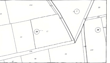 113.jpg